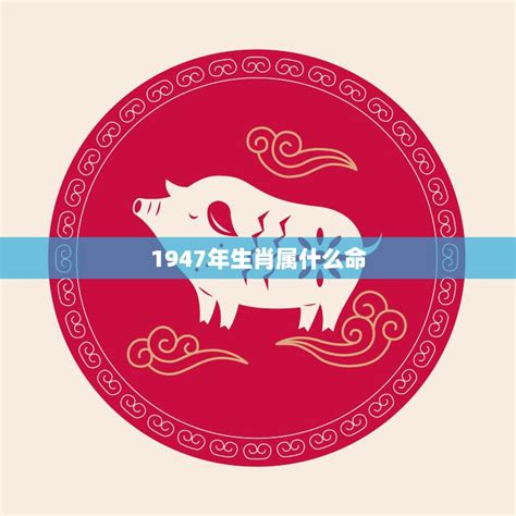 1947年生肖猪|1947年属猪的是什么命 1947年属猪人一生运势